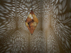 Premium Hanging Lamp