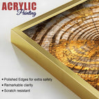 Premium Nature Inspired Tree Ring Acrylic Floating Wall Painting Set of 2