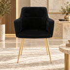 Premium Velvet Black Accent Chair with Golden Finish Legs