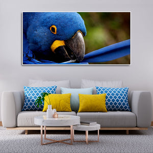 Premium Wall Painting of Blue Mascaw Parrot