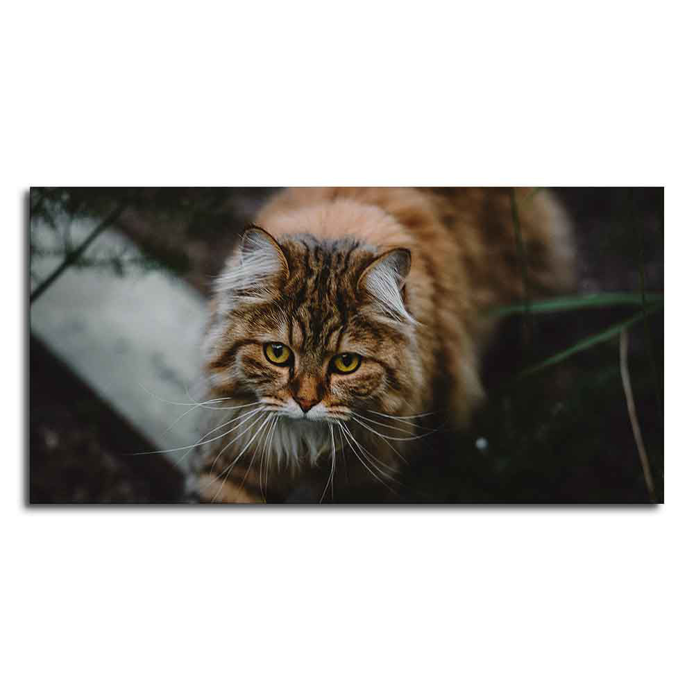 Premium Wall Painting of Cat Walking in Dark Forest