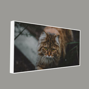 Premium Wall Painting of Cat Walking in Dark Forest