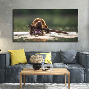 Premium Wall Painting of Dog Swimming