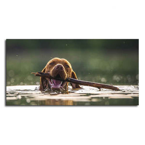 Premium Wall Painting of Dog Swimming