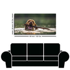 Premium Wall Painting of Dog Swimming