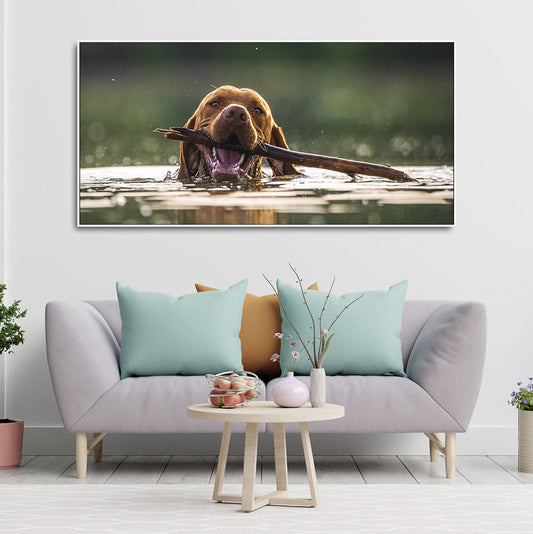 Premium Wall Painting of Dog Swimming