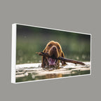 Premium Wall Painting of Dog Swimming