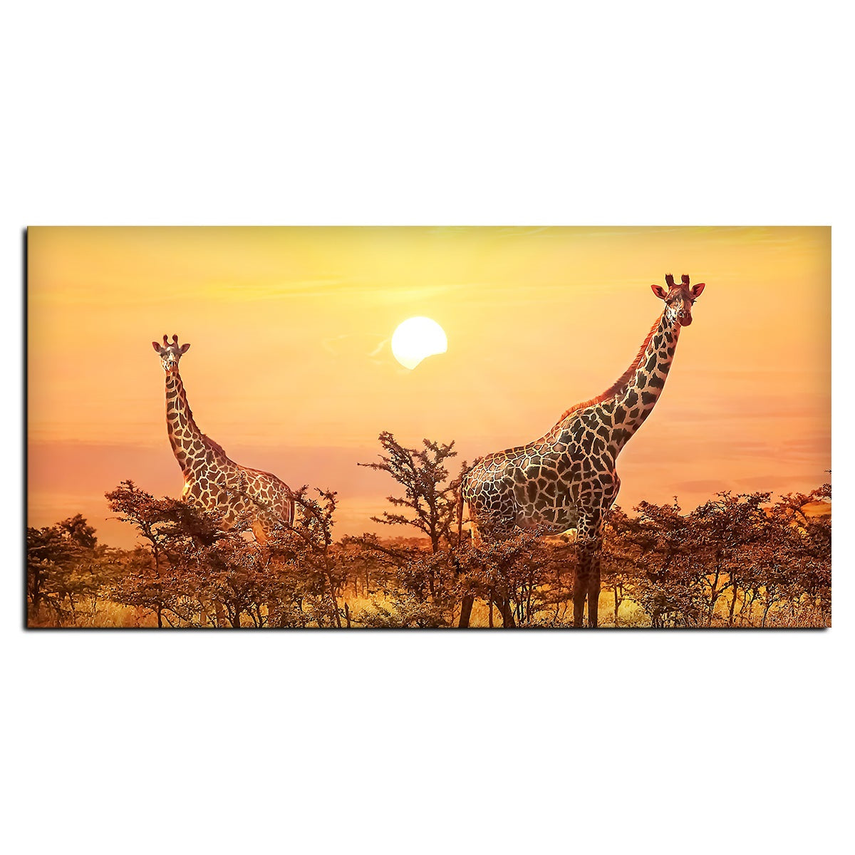 Premium Wall Painting of Giraffes in Sunset