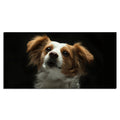 Premium Wall Painting of White and Brown Long Coat Puppy