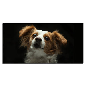 Premium Wall Painting of White and Brown Long Coat Puppy