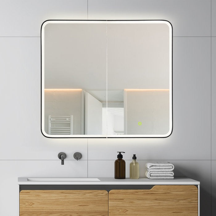 Reindeau LED Medicine Storage Wall Mounted Cabinet Mirror