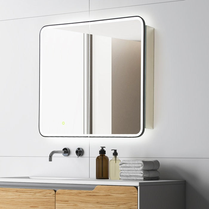 Reindeau LED Medicine Storage Wall Mounted Cabinet Mirror