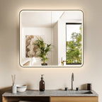 Reindeau LED Medicine Storage Wall Mounted Cabinet Mirror