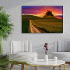 Sunset Grass Field Wall Painting Floating Canvas