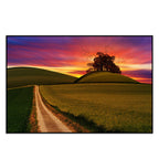 Sunset Grass Field Wall Painting Floating Canvas