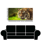 Tiger in Forest Premium Wall Painting