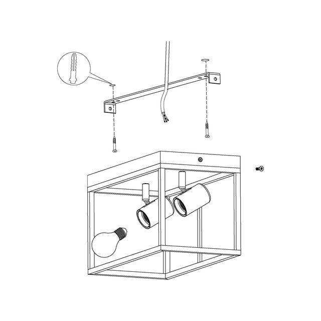 Two Bulb Steel Ceiling Light with Black Clear Glass