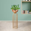 Urban Zen Gold Stand & Ross Gold Pot - Large Size Planter