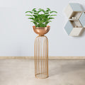Urban Zen Gold Stand & Ross Gold Pot - Medium Size Planter
