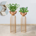 Urban Zen Gold Stand & Ross Gold Pot Planters Set of 2