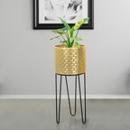 Verdant Oasis Black Stand & Golden Finish Pot - Large Size Planter