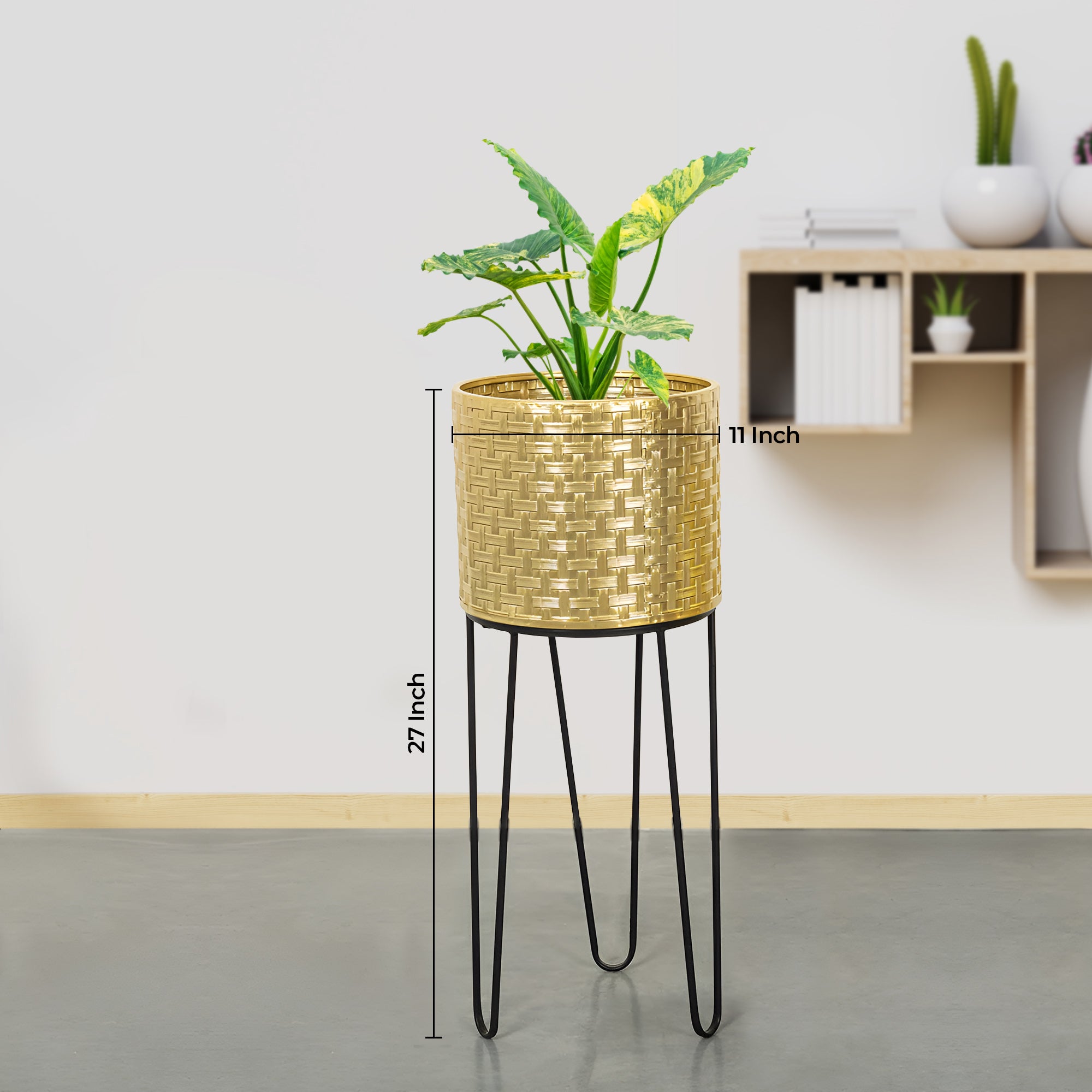 Verdant Oasis Black Stand & Golden Finish Pot - Large Size Planter