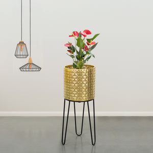 Verdant Oasis Black Stand & Golden Finish Pot  - Medium Size Planter