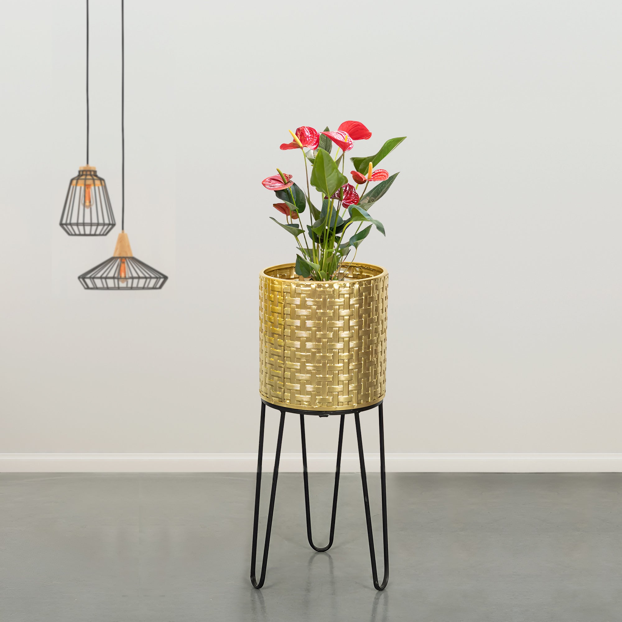 Verdant Oasis Black Stand & Golden Finish Pot  - Medium Size Planter