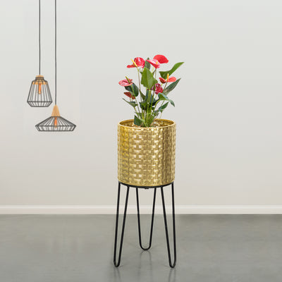 Verdant Oasis Black Stand & Golden Finish Pot  - Medium Size Planter