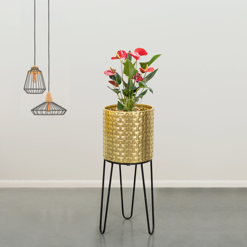 Verdant Oasis Black Stand & Golden Finish Pot  - Medium Size Planter