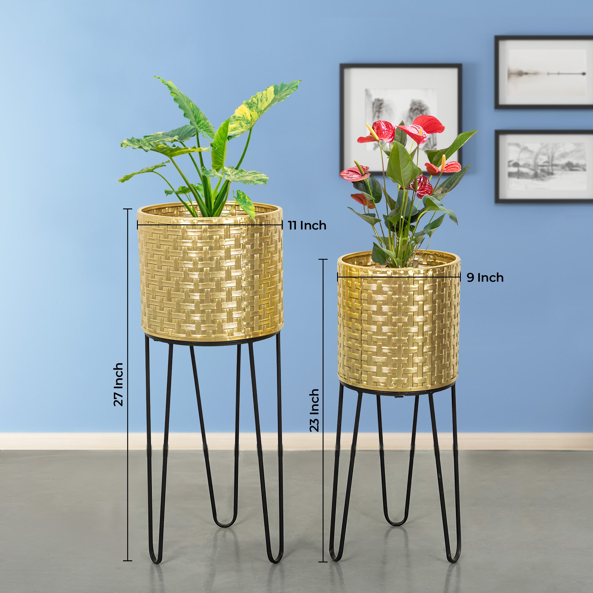 Verdant Oasis Black Stand & Golden Finish Pot Planters Set of 2
