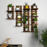Designer Unique Pattern Dark Walnut Planter Shelves Set Of 4