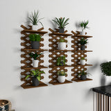 Designer Dark Walnut Planter Shelves Set Of 3