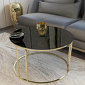 Modern Faux Marble Black Matte Finish Metal Centre Table