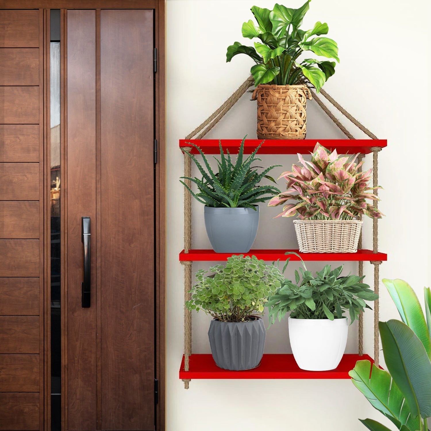 Planter Shelf Wooden Wall Hanging with Rope (Red Color)