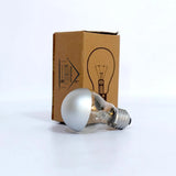 Silver Bright Tipped 100 Watt Filament Bulb – Set of 2 bulbs