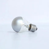 Silver Bright Tipped 100 Watt Filament Bulb – Set of 2 bulbs