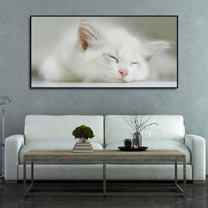 White Kitten Sleeping Canvas Wall Painting