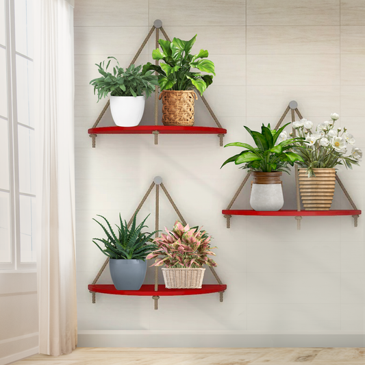 Wooden Wall Hanging Curved Shape Planter Shelf