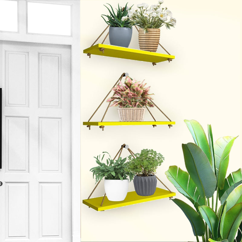 Wooden Wall Hanging Planter Shelf