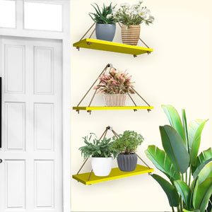 Wooden Wall Hanging Planter Shelf