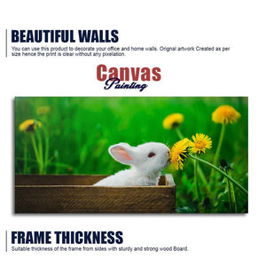 White Bunny in Yellow Flowers Garden Canvas Wall Painting