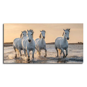 White Horses Galoping in Water Premium Wall Painting