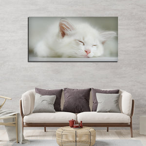 White Kitten Sleeping Canvas Wall Painting