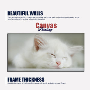 White Kitten Sleeping Canvas Wall Painting