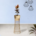 Zen Botanics Gold Stand & Ross Gold Pot - Large Size Planter