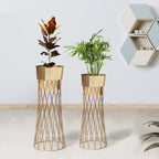 Zen Botanics Gold Stand & Ross Gold Pot Planters Set of 2