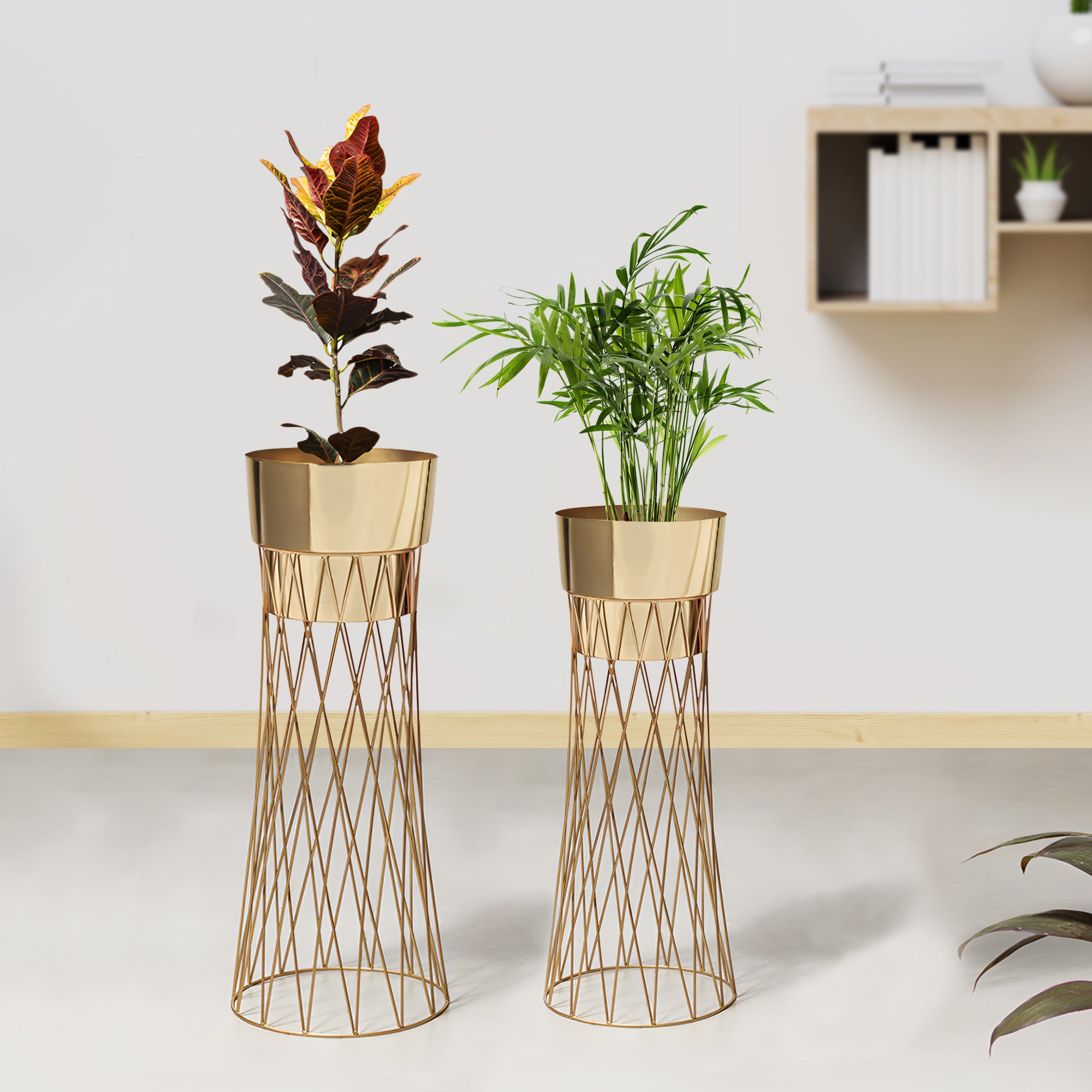 Zen Botanics Gold Stand & Ross Gold Pot Planters Set of 2