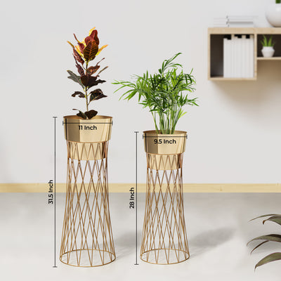 Zen Botanics Gold Stand & Ross Gold Pot Planters Set of 2