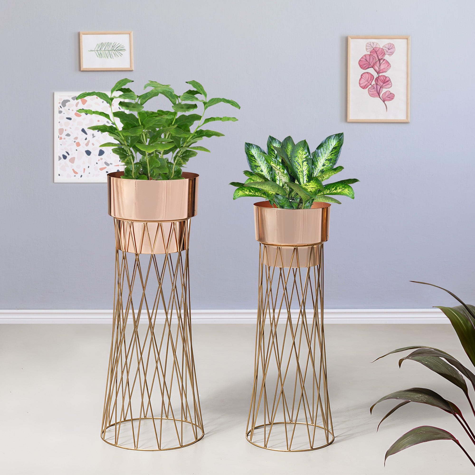 Zen Botanics Gold Stand & Ross Gold Pot Planters Set of 2